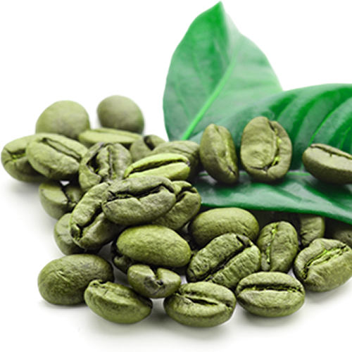 Coffea arabica - frön